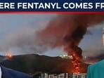 Vance’s drug war goes off-script as global outrage grows after Maduro arrest… Vance’s drug war goes off-script as global outrage grows after Maduro arrest…