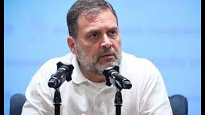 A BJP leader has raised Rahul Gandhi’s citizenship issue. (For Representation)