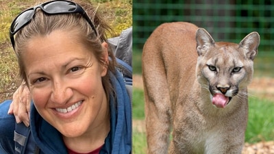 Kristen Marie Kovatch (L) and representational image of a mountain lion. (File photo and Jeffrey Kovatch on Facebook)