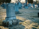 Grant’s idea began during an internship at a cemetery in New York.
