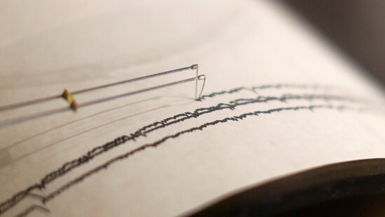 Police and disaster officials near the quake's epicentre said there were no immediate reports of damage or injuries from the earthquake. (Representative Image)