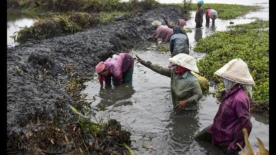 Some commentators have rightly emphasised that the key driver of MNREGS’s success was its effective implementation. (PTI)