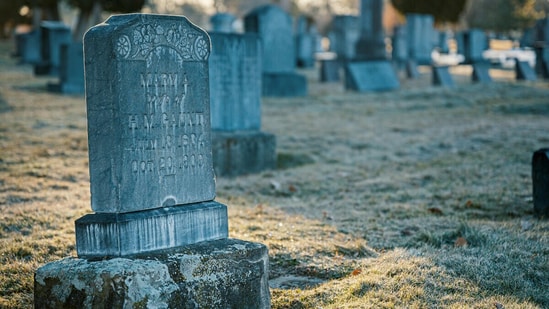 Grant’s idea began during an internship at a cemetery in New York. (Pexels/Representational Image)
