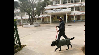 A security personnel of dog squad team inspects civil court premises at Patna’s Danapur on Thursday (Santosh kumar/HT) A security personnel of dog squad team inspects civil court premises at Patna’s Danapur on Thursday (Santosh kumar/HT)