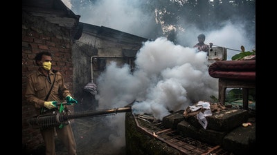 In 2025, the state reported 14,159 dengue cases and 21 deaths due to dengue, down from 19,385 dengue cases and 40 dengue deaths in 2024. As such, there was a 27% decline in dengue cases and a sharp 47.5% reduction in deaths due to dengue, indicating improved disease management. (Satish Bate/HT PHOTO) In 2025, the state reported 14,159 dengue cases and 21 deaths due to dengue, down from 19,385 dengue cases and 40 dengue deaths in 2024. As such, there was a 27% decline in dengue cases and a sharp 47.5% reduction in deaths due to dengue, indicating improved disease management. (Satish Bate/HT PHOTO)