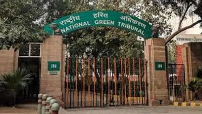The National Green Tribunal took cognizance of the matter during a hearing of a case relating to compliance with environmental norms, including sewage and waste management. (REPRESENTATIVE IMAGE) The National Green Tribunal took cognizance of the matter during a hearing of a case relating to compliance with environmental norms, including sewage and waste management. (REPRESENTATIVE IMAGE)