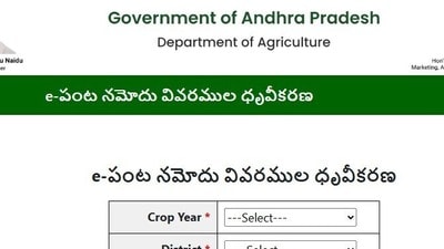 ఈ-పంట నమోదు వివరాలు ఈ-పంట నమోదు వివరాలు