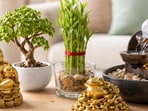 Meaningful Feng Shui gifts add calm energy, encourage growth and bring a sense of abundance to modern homes in 2026(Ai Generated)