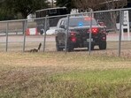 Police presence seen outside Leander High School.