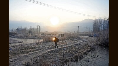 A man walks along a frost-covered area near the Dal Lake on a cold winter morning in Srinagar on Friday. (Waseem Andrabi/HT)