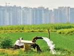 Environment experts say such efforts are critical as groundwater levels continue to fall (Representative photo)