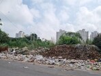 Stray cattle drawn to the waste add to traffic risks, while councillor Ravi Kumar Yadav says fines will be imposed on violators. (HT Photo)