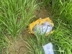 The heroin was stuffed in 10 packets wrapped in yellow tape. (HT) The heroin was stuffed in 10 packets wrapped in yellow tape. (HT)