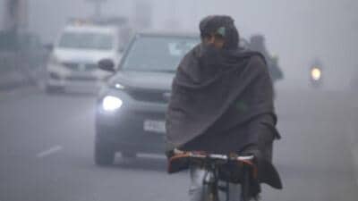 A cyclist braving the chill as fog engulfed Bathinda on Saturday morning. (Sanjeev Kumar/HT) A cyclist braving the chill as fog engulfed Bathinda on Saturday morning. (Sanjeev Kumar/HT)