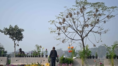 Gram it: Men arrange plants at a nursery, on a winter morning in Delhi. On Saturday, Delhi recorded a minimum temperature of 4.2 degrees C, 2.7 degrees lower than normal and slightly lower than previous day's figure. (Photo: Arun Sankar/AFP)
