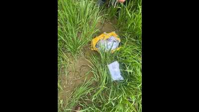 The heroin was stuffed in 10 packets wrapped in yellow tape. (HT)