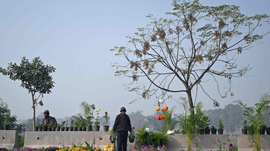 Gram it: Men arrange plants at a nursery, on a winter morning in Delhi. On Saturday, Delhi recorded a minimum temperature of 4.2 degrees C, 2.7 degrees lower than normal and slightly lower than previous day's figure. (Photo: Arun Sankar/AFP)