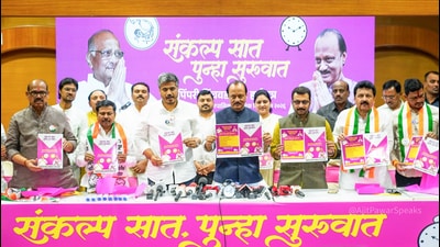 Ajit Pawar hits back at CM Fadnavis over Pimpri-Chinchwad poll remarks