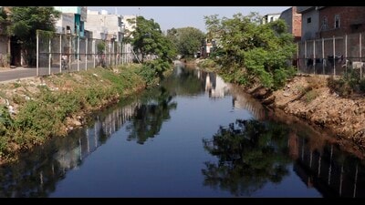 Polluted Budhha Nullah in Ludhiana. (HT Photo) Polluted Budhha Nullah in Ludhiana. (HT Photo)