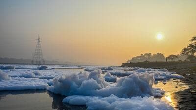 The latest report throws spotlight on Yamuna pollution. (Sunil Ghosh/HT Photo) The latest report throws spotlight on Yamuna pollution. (Sunil Ghosh/HT Photo)