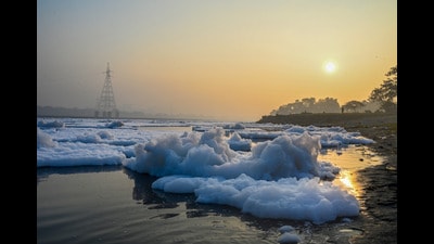 The reports were released after a two-month gap and following an NGT order seeking disclosure of Yamuna data from Wazirabad to Asgharpur. (Sunil Ghosh/HT) The reports were released after a two-month gap and following an NGT order seeking disclosure of Yamuna data from Wazirabad to Asgharpur. (Sunil Ghosh/HT)