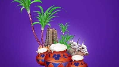 సంక్రాంతి సంక్రాంతి