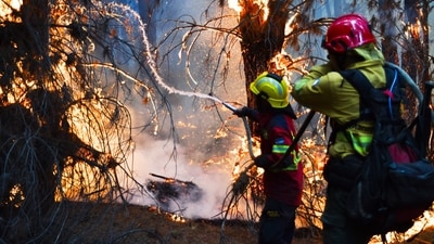 Firefighters battle flames as wildfires blaze in Epuyen, Patagonia, Argentina, Sunday, Jan. 11, 2026.AP/PTI(AP01_12_2026_000016A) (AP) Firefighters battle flames as wildfires blaze in Epuyen, Patagonia, Argentina, Sunday, Jan. 11, 2026.AP/PTI(AP01_12_2026_000016A) (AP)