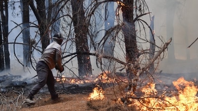 A local attempts to extinguish flames during wildfires in Epuyen, Patagonia, Argentina, Sunday, Jan. 11, 2026. AP/PTI(AP01_12_2026_000028B) (AP) A local attempts to extinguish flames during wildfires in Epuyen, Patagonia, Argentina, Sunday, Jan. 11, 2026. AP/PTI(AP01_12_2026_000028B) (AP)