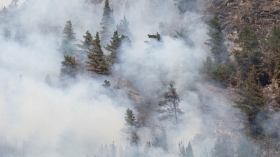 Smoke rises from trees as a wildfire develops in El Hoyo, in the Patagonian province of Chubut, Argentina January 9, 2026. REUTERS/Matias Garay (REUTERS)