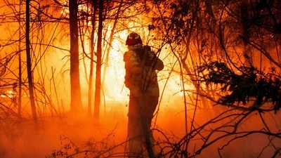 A firefighter works to extinguish a wildfire in El Coihue, in the Patagonian province of Chubut, Argentina January 9, 2026. REUTERS/Matias Garay (REUTERS)