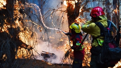 Firefighters battle flames as wildfires blaze in Epuyen, Patagonia, Argentina, Sunday, Jan. 11, 2026. (AP Photo/Nicolas Palacios) (AP) Firefighters battle flames as wildfires blaze in Epuyen, Patagonia, Argentina, Sunday, Jan. 11, 2026. (AP Photo/Nicolas Palacios) (AP)