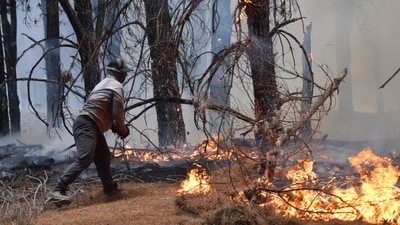A local attempts to extinguish flames during wildfires in Epuyen, Patagonia, Argentina, Sunday, Jan. 11, 2026. (AP Photo/Nicolas Palacios) (AP) A local attempts to extinguish flames during wildfires in Epuyen, Patagonia, Argentina, Sunday, Jan. 11, 2026. (AP Photo/Nicolas Palacios) (AP)