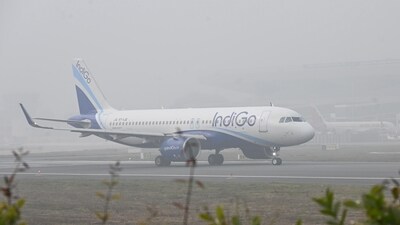 The aircraft, operating as flight 6E 437 en route from Gorakhpur to Bengaluru, suffered damage to its front portion following the bird hit during the flight. (ANI file photo)