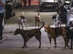 Animals and birds are not inanimate objects, case property or disposable items, the court told the shelter. (PTI)