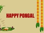 Pongal 2026: Pongal is a four-day festival in which devotees worship the Sun God. 