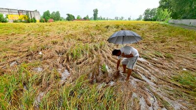 Farmer (Gurpreet Singh/HT) Farmer (Gurpreet Singh/HT)