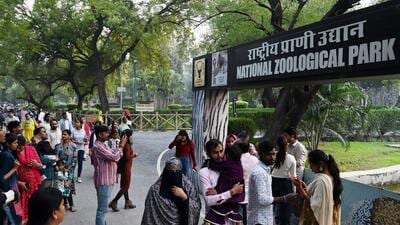 However, Delhi Zoo director Sanjeet Kumar said no such incident had been reported and that an inquiry had been ordered (Hindustan Times) However, Delhi Zoo director Sanjeet Kumar said no such incident had been reported and that an inquiry had been ordered (Hindustan Times)