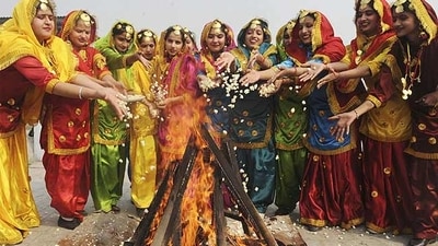 Lohri celebrations Lohri celebrations