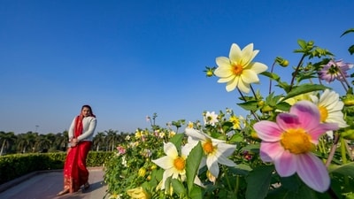 Gram it: It's a bright sunny day and Delhiites don't mind stepping out to enjoy the pleasant cold at Rajghat Lawns. (Photo: RAJ K RAJ/HT)