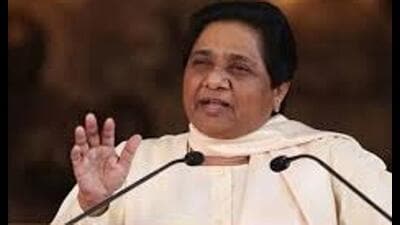 The birthday bash of the BSP chief had been organised with much fanfare when the party was in power. (HT file)