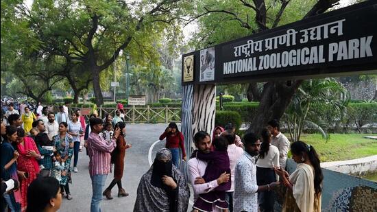 However, Delhi Zoo director Sanjeet Kumar said no such incident had been reported and that an inquiry had been ordered (Hindustan Times)