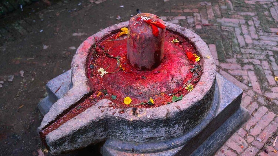 মকর সংক্রান্তিতে নিয়ম মেনে করুন শিবের পুজো