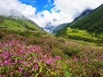 A view of the Valley of Flowers in Uttarakhand.