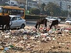 Garbage seen along the road on Thursday. (HT)
