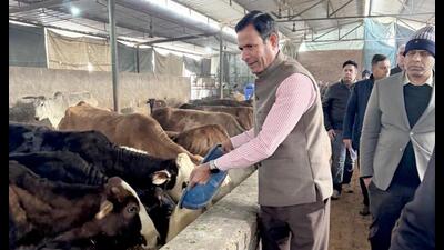 UT chief secretary Rajesh Prasad conducted inspections of cowsheds on Thursday. (HT Photo) UT chief secretary Rajesh Prasad conducted inspections of cowsheds on Thursday. (HT Photo)