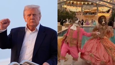 President Donald Trump was reportedly present at the Mar-a-Lago event where people wore dog masks. (X/@StandUpForTrmp, X/@meiselasb)