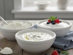 Fitness coach Ralston D'Souza compared skyr, curd and Greek yoghurt to see which dairy packs the biggest nutritional punch. He noted that all three are gut‑friendly fermented milks, but they differ in protein density and how they’re made. (Made using Gemini AI)