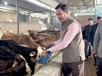 UT chief secretary Rajesh Prasad conducted inspections of cowsheds on Thursday. (HT Photo)