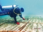 Frames of seagrass are planted on the seabed around the island of Kariyachalli, to stem erosion and help it retain landmass. (Photo: Tamil Nadu Forest Department)