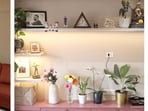 A neat aesthetic makes the space appear welcoming. 